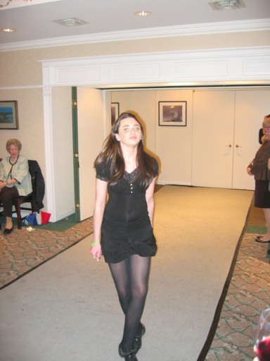 an damhs�ir c�ime