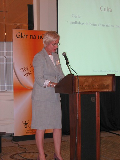 Anna N� Ghallachair, Ollscoil M� Nuad