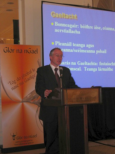 D�agl�n � Briain, An roinn Gn�tha� Pobail, Tuaithe agus Gaeltachta